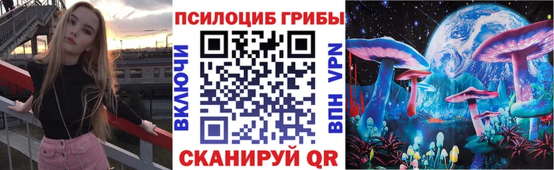 mega ссылки  Кувандык  Псилоцибиновые грибы мухоморы 